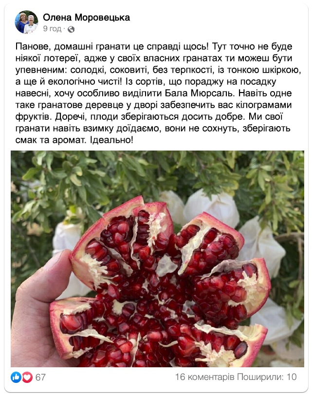 Заголовок