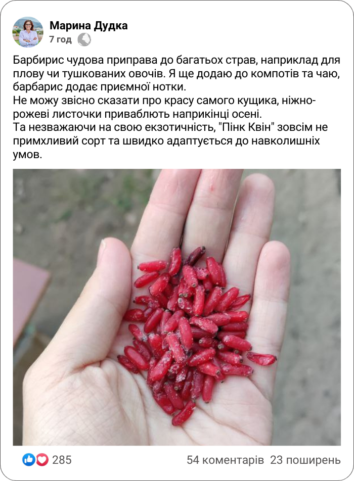 Заголовок