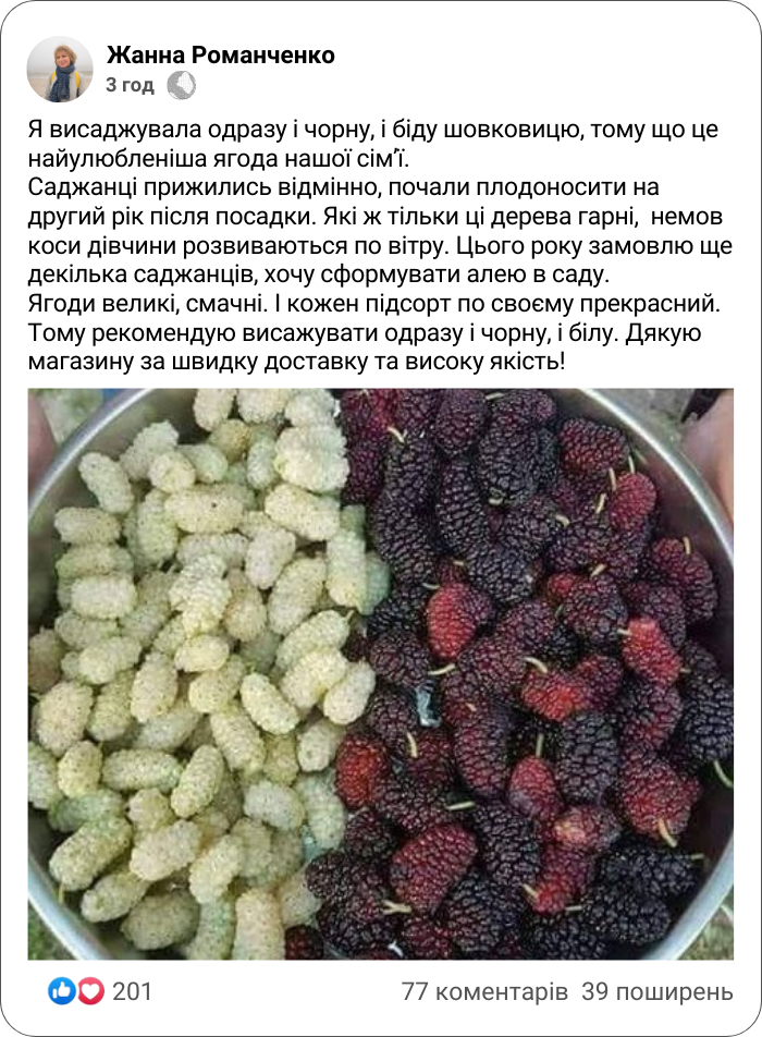 Заголовок