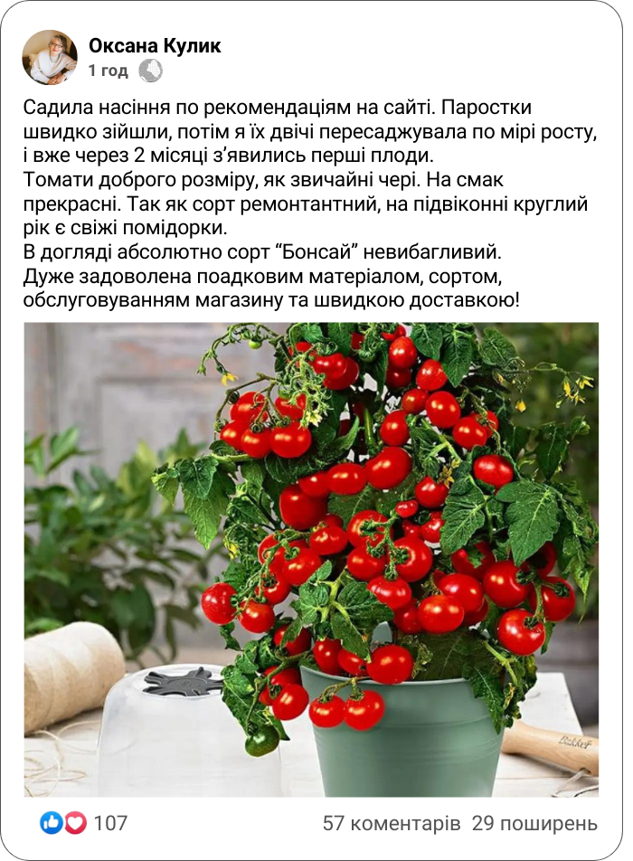 Заголовок